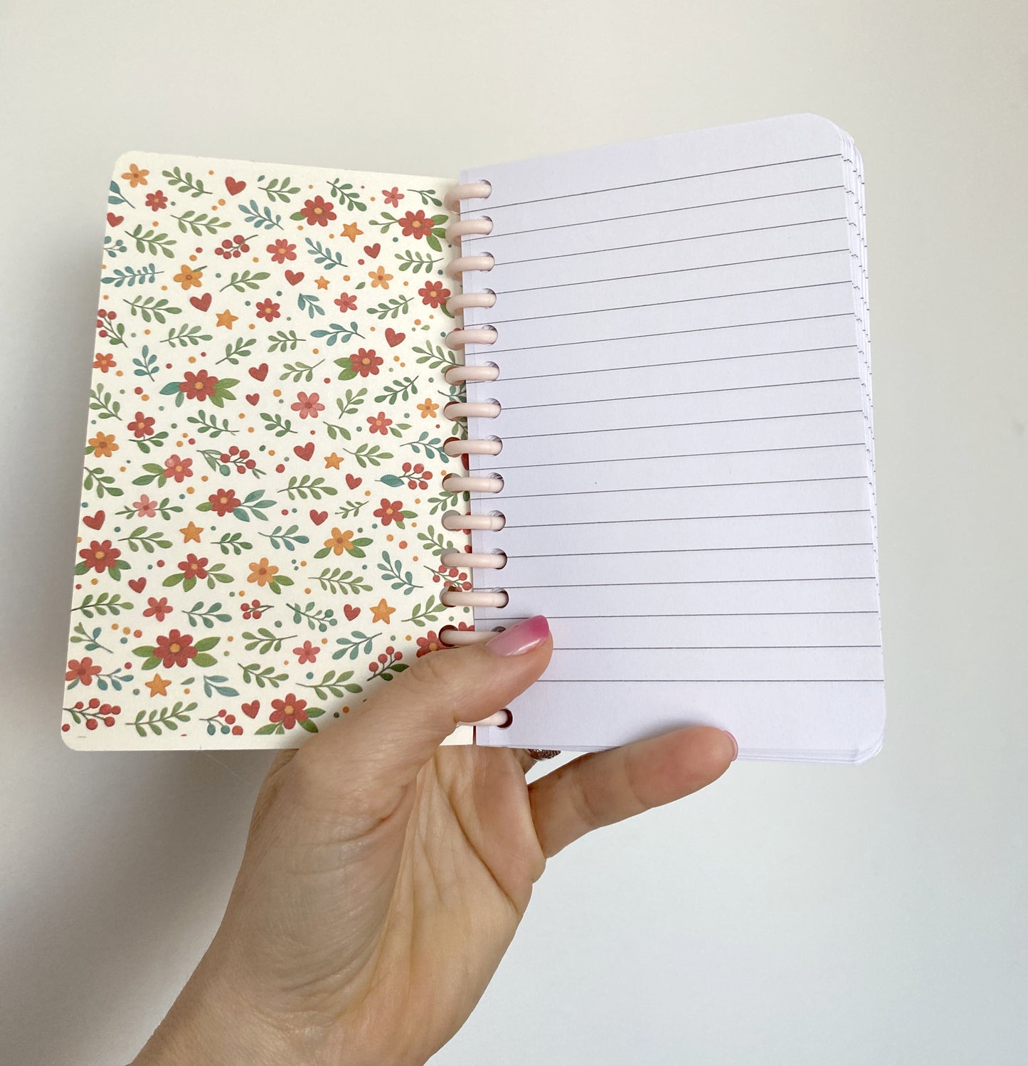 Carnet " Les notes de la maîtresse"